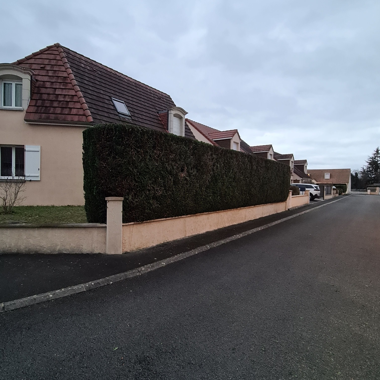 Lemesle jardins, entretiens de vos extérieurs de façon raisonnée pour particuliers (crédit d'impôts) et pros