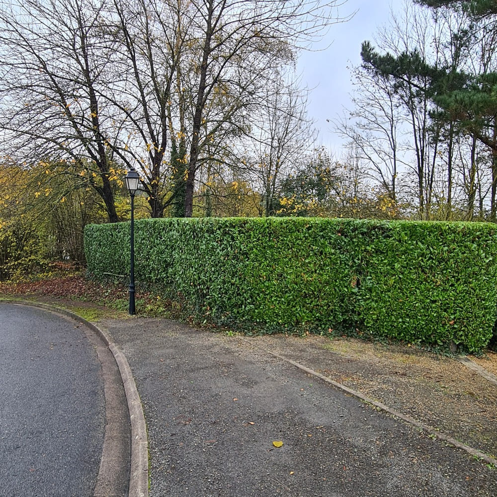Lemesle jardins, entretiens de vos extérieurs de façon raisonnée pour particuliers (crédit d'impôts) et pros
